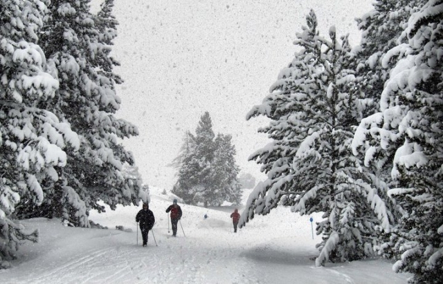 atravesando caminos totalmente blancos